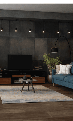 3 BHK Type 1